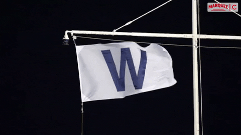 Fly the W by yas on Dribbble