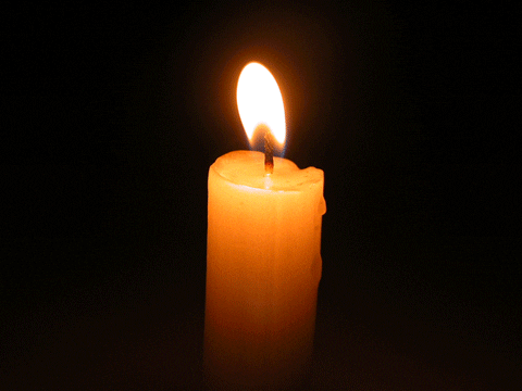 November Candlesticks 🕯️ Featured Image