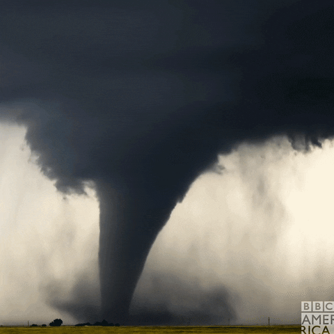 Scary Stories 5: Tornadoes Featured Image