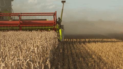 Deere Harvests Profits, Hits All-Time High Featured Image